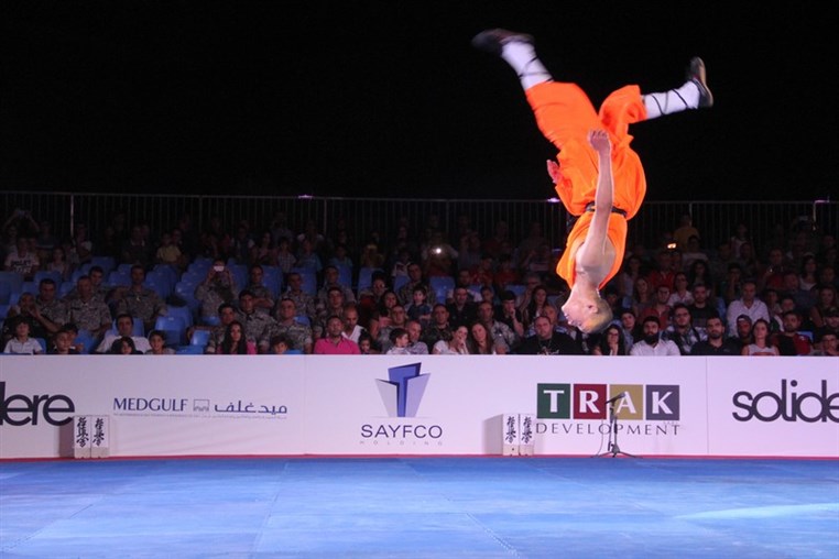 Martial Arts Festival